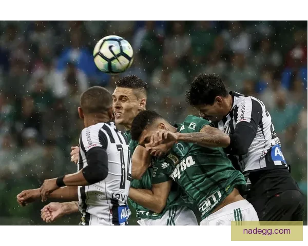 克鲁塞罗迎战帕尔梅拉斯巴甲焦点对决悬念拉满攻防博弈强强碰撞夜